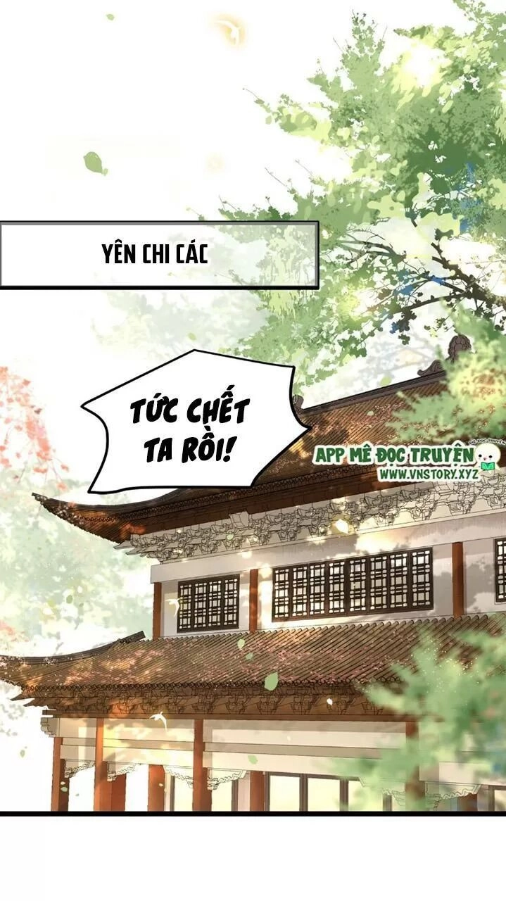 Phượng Hoàng Vu Phi Chapter 41 - 16