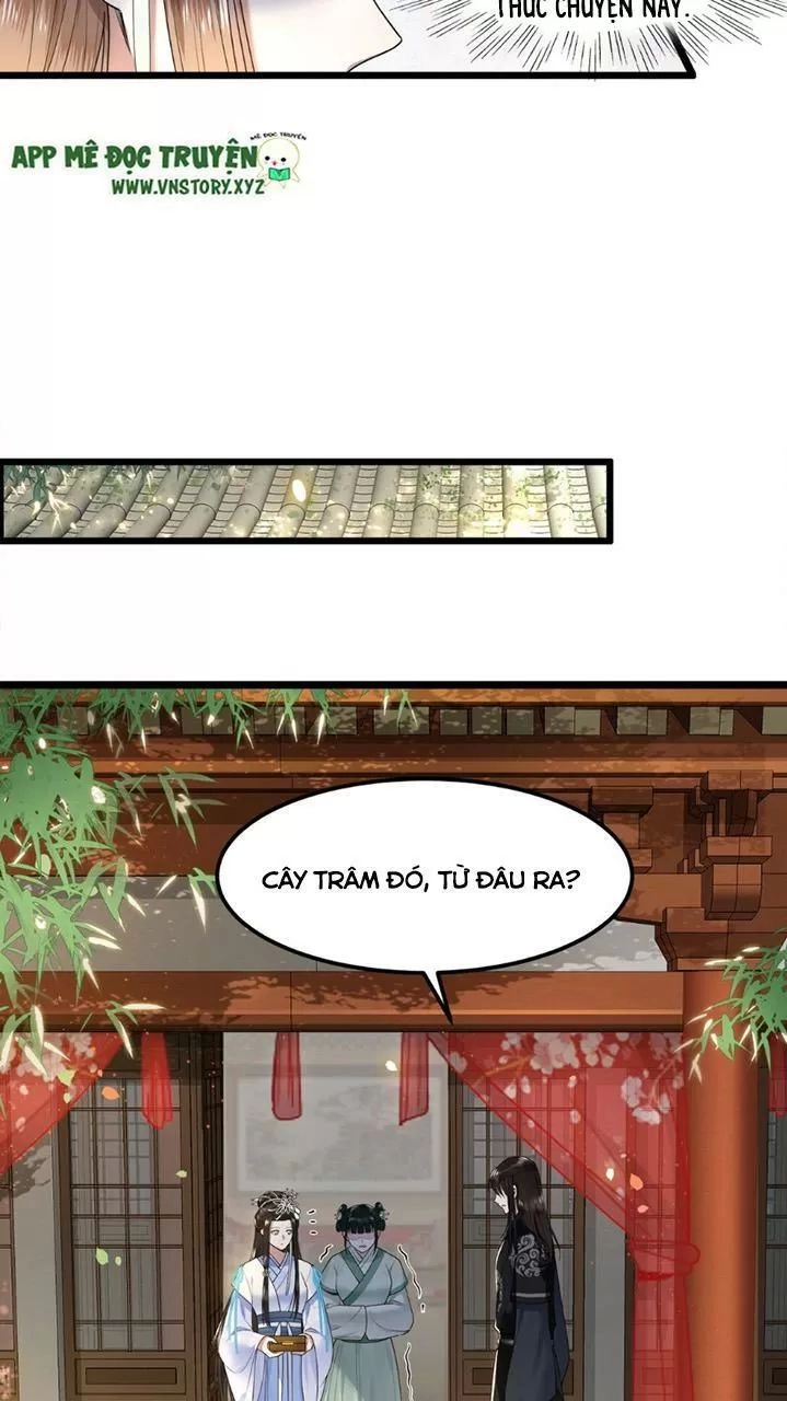 Phượng Hoàng Vu Phi Chapter 43 - 7