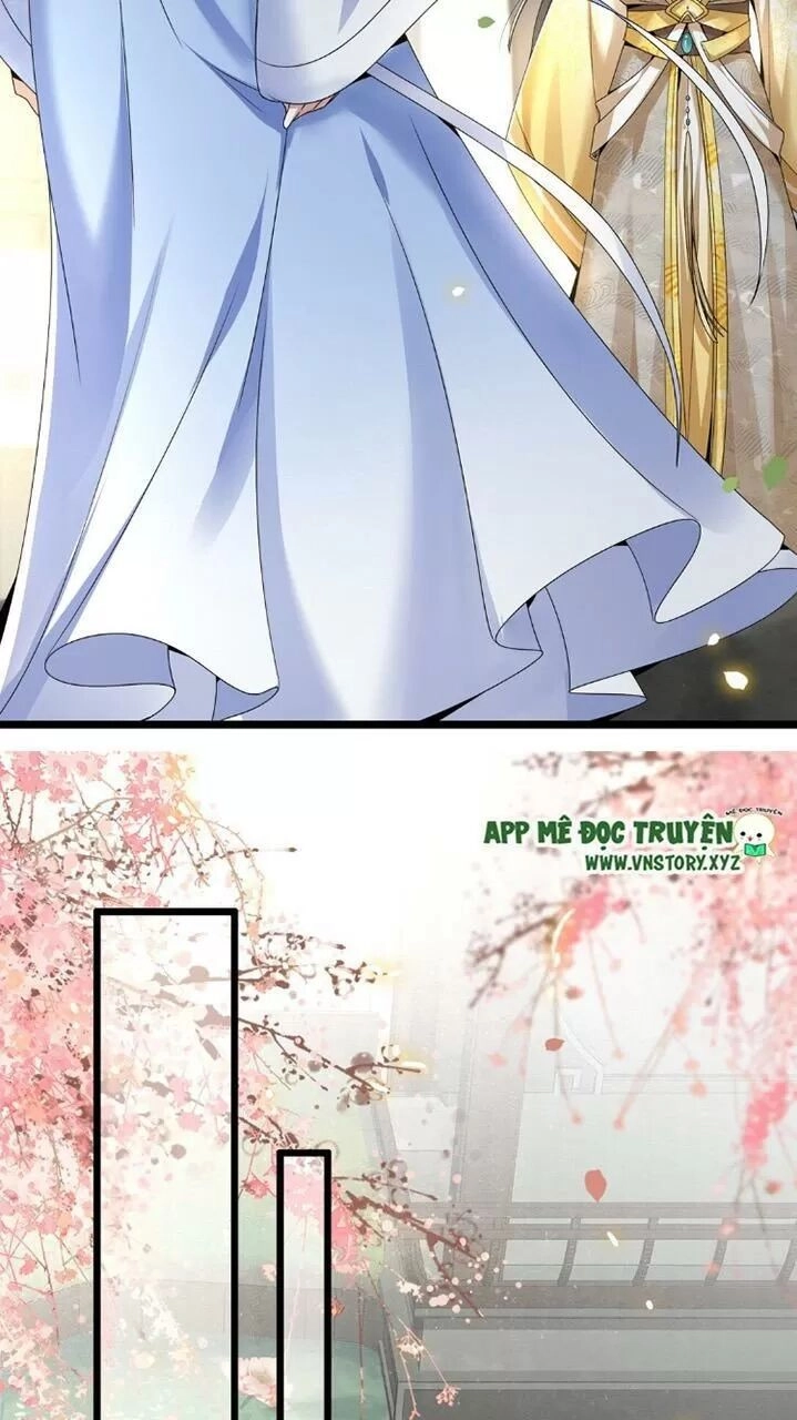 Phượng Hoàng Vu Phi Chapter 46 - 12