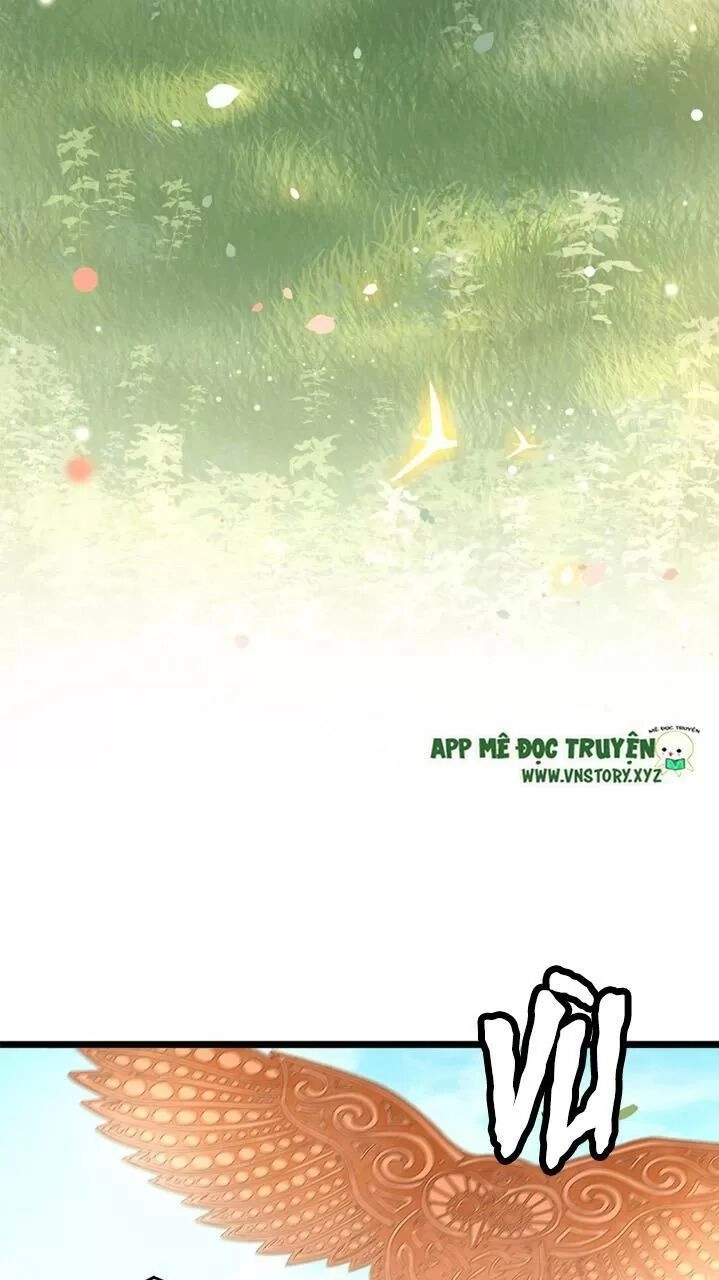 Phượng Hoàng Vu Phi Chapter 49 - 11