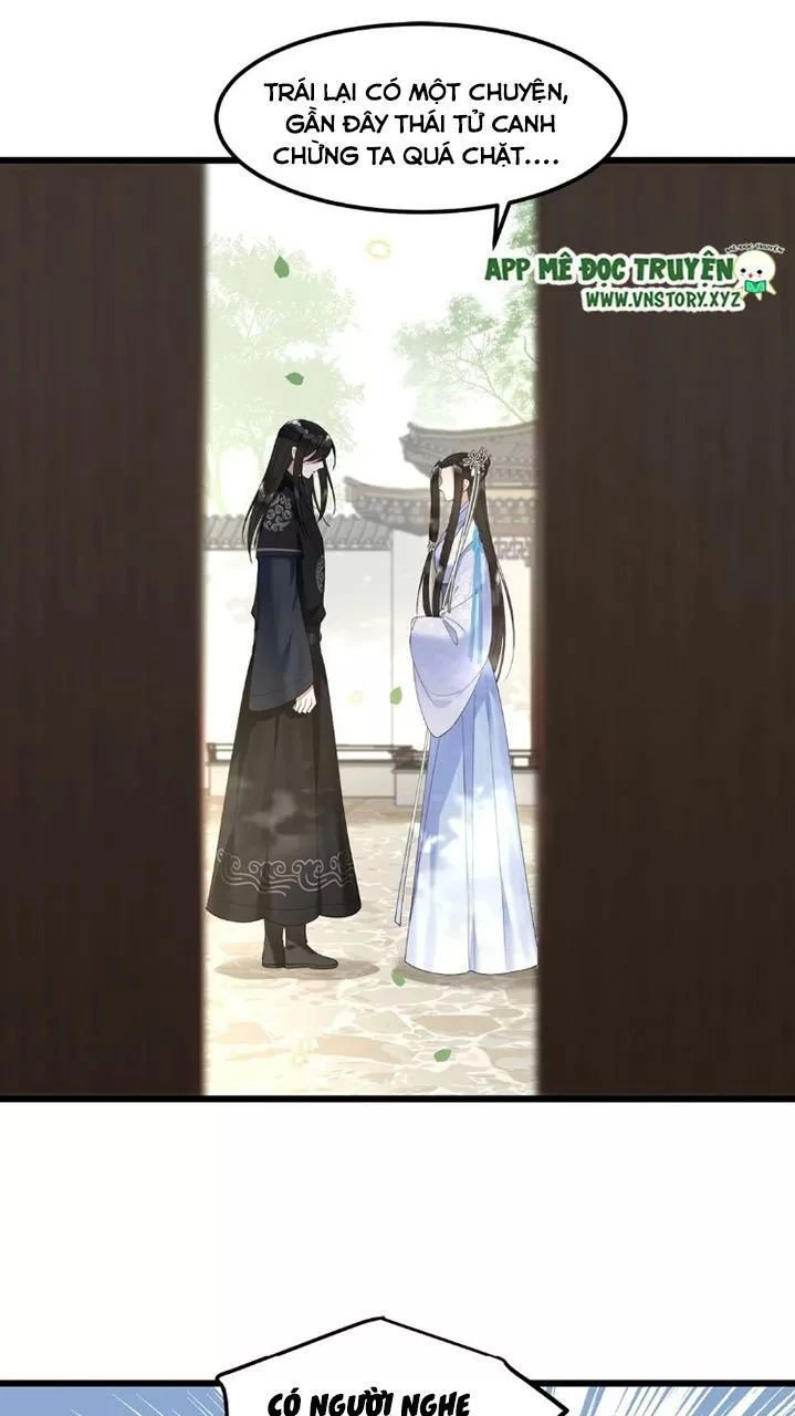 Phượng Hoàng Vu Phi Chapter 50 - 8