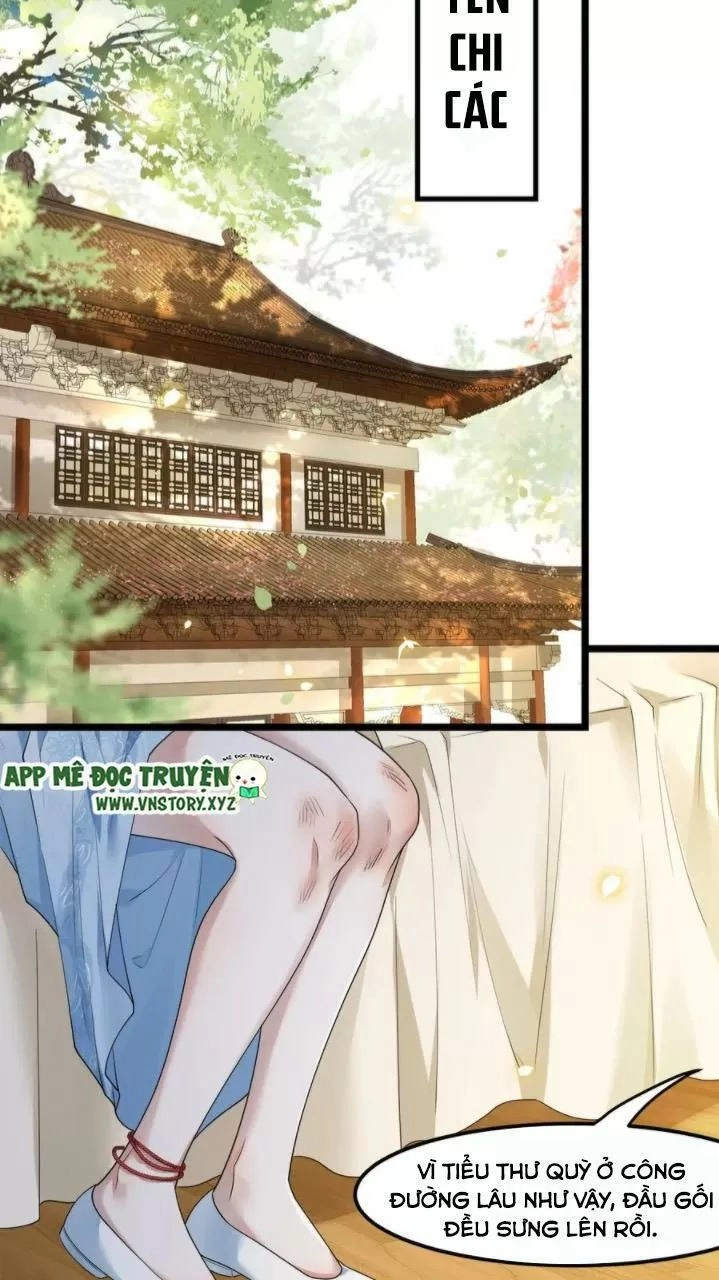 Phượng Hoàng Vu Phi Chapter 61 - 25