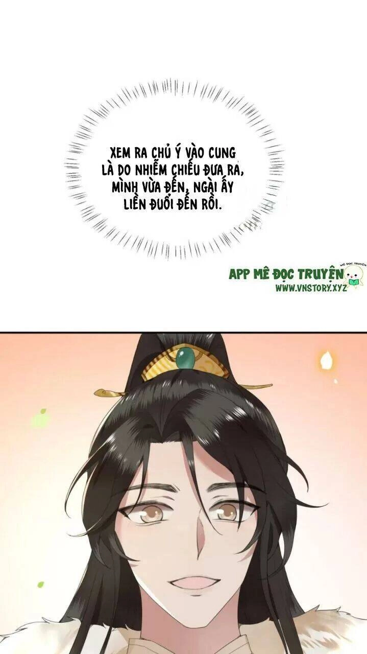 Phượng Hoàng Vu Phi Chapter 69 - 28