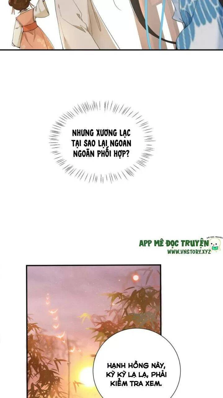 Phượng Hoàng Vu Phi Chapter 71 - 14