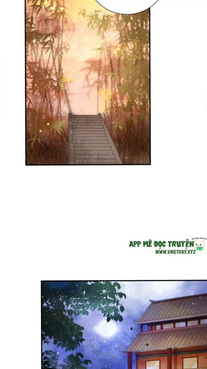 Phượng Hoàng Vu Phi Chapter 71 - 15