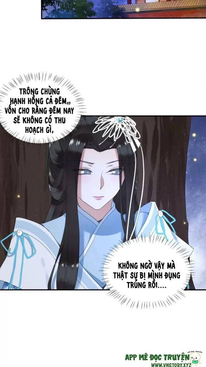 Phượng Hoàng Vu Phi Chapter 71 - 16