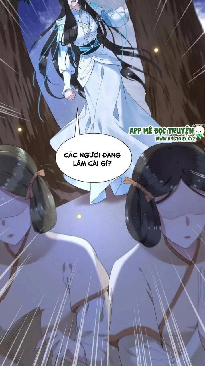 Phượng Hoàng Vu Phi Chapter 71 - 25