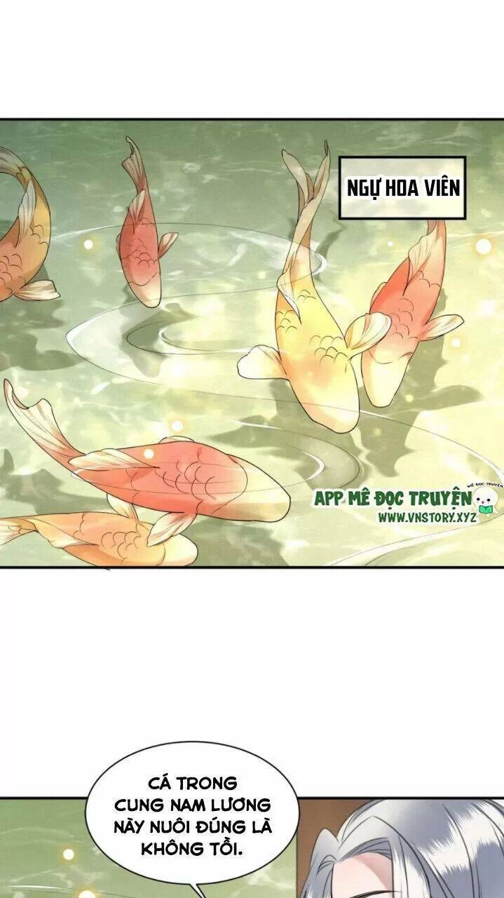 Phượng Hoàng Vu Phi Chapter 76 - 30