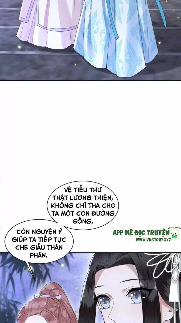Phượng Hoàng Vu Phi Chapter 78 - 10