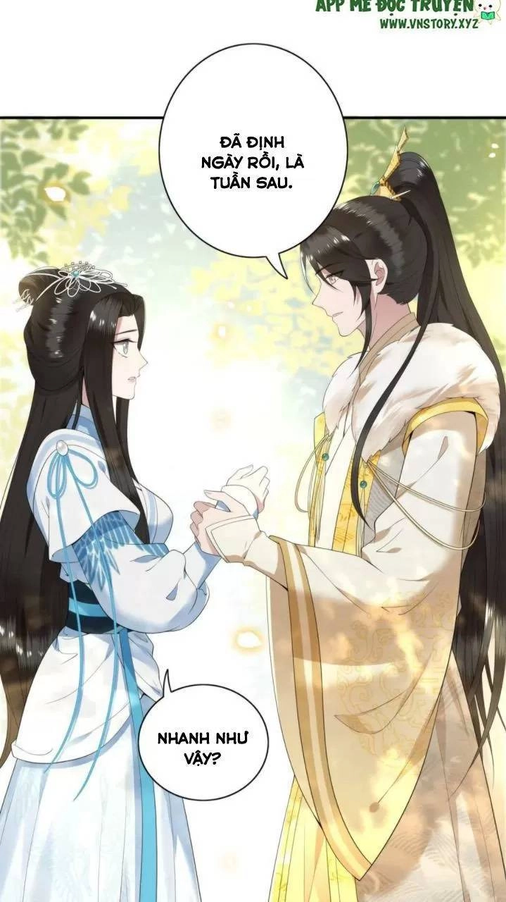 Phượng Hoàng Vu Phi Chapter 81 - 9