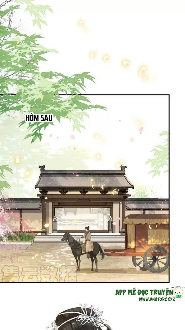 Phượng Hoàng Vu Phi Chapter 81 - 28