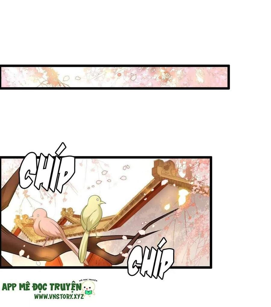 Phượng Hoàng Vu Phi Chapter 96 - 19