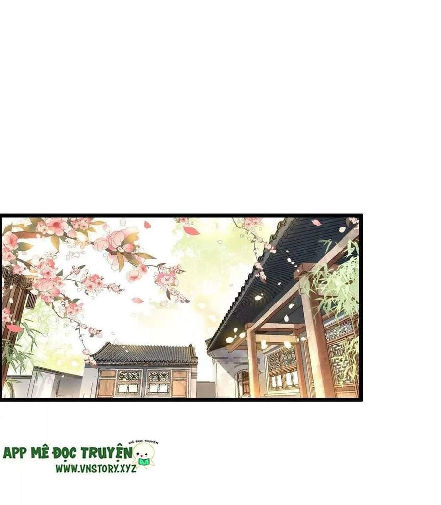 Phượng Hoàng Vu Phi Chapter 101 - 9