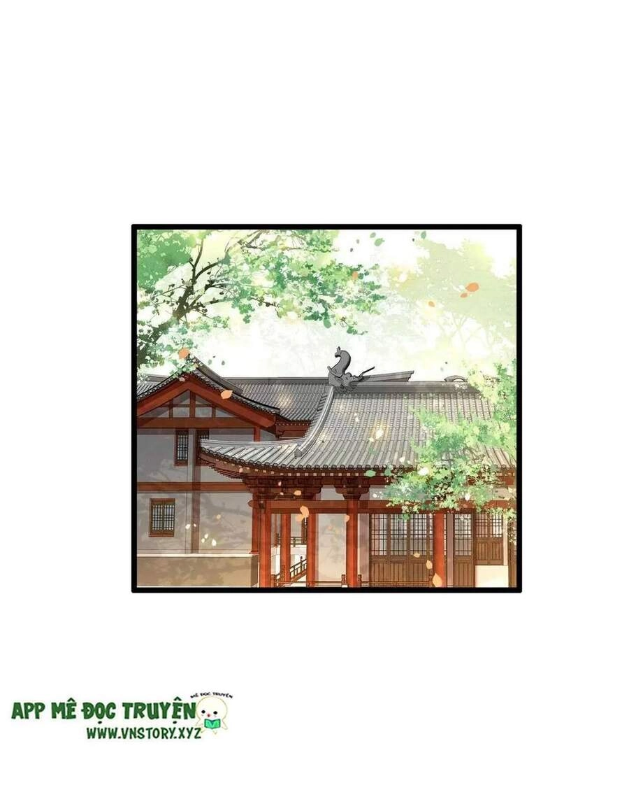 Phượng Hoàng Vu Phi Chapter 101 - 25