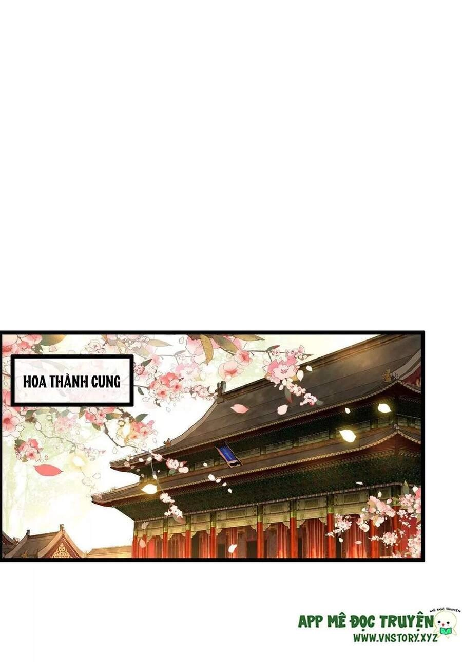 Phượng Hoàng Vu Phi Chapter 101 - 40