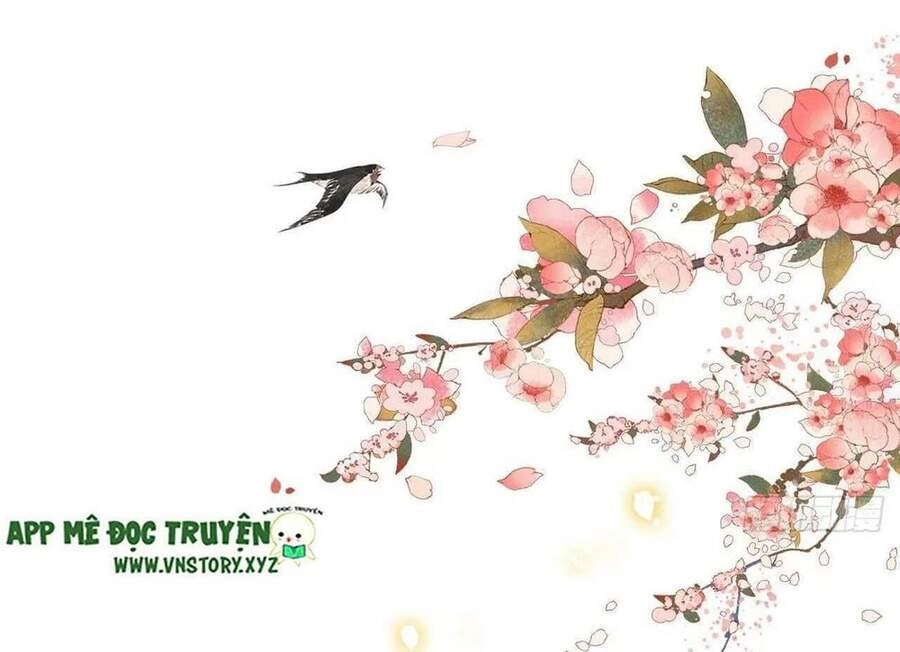 Phượng Hoàng Vu Phi Chapter 102 - 10