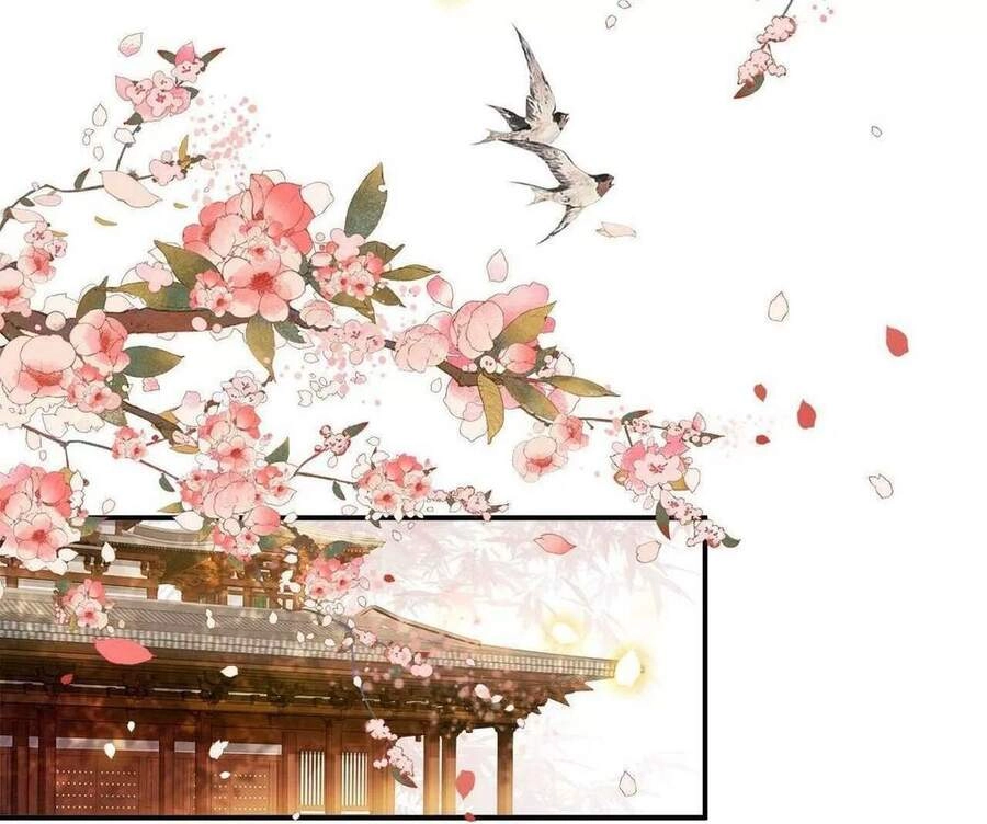 Phượng Hoàng Vu Phi Chapter 102 - 11