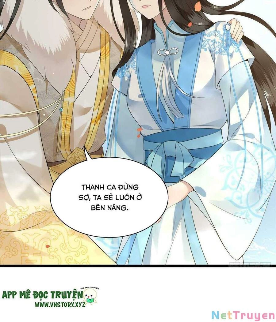 Phượng Hoàng Vu Phi Chapter 106 - 8