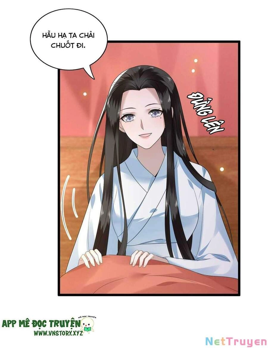 Phượng Hoàng Vu Phi Chapter 106 - 39