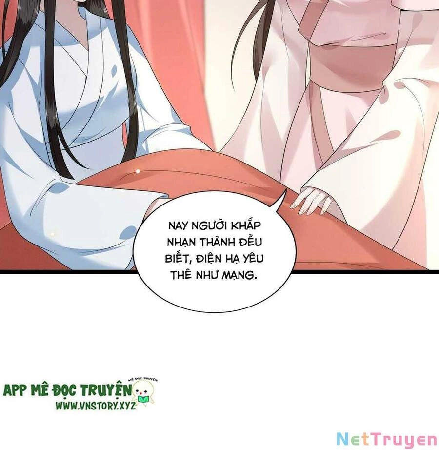 Phượng Hoàng Vu Phi Chapter 106 - 42