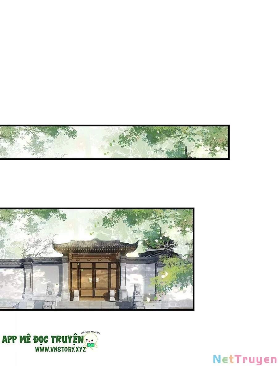 Phượng Hoàng Vu Phi Chapter 107 - 12