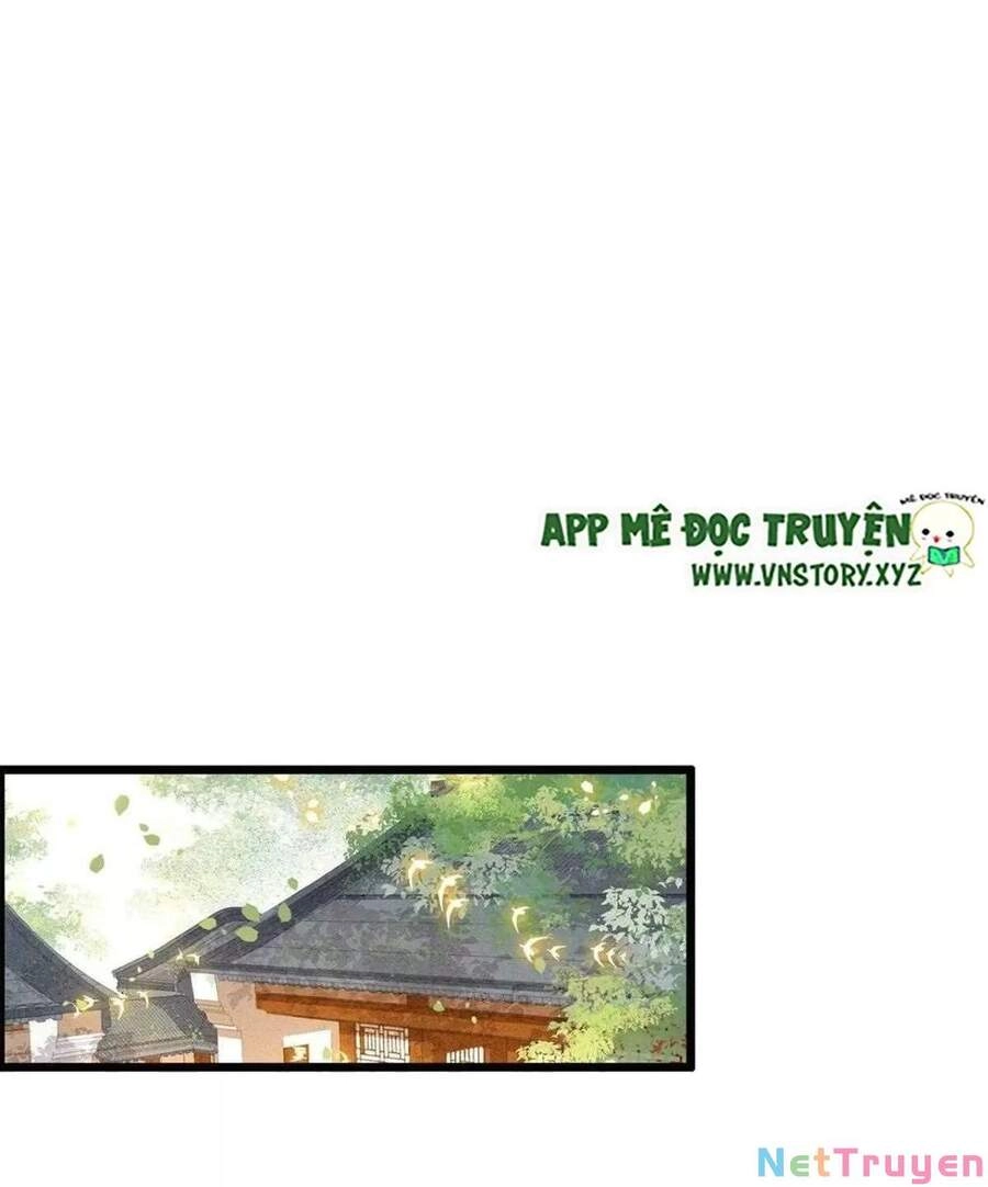 Phượng Hoàng Vu Phi Chapter 109 - 19