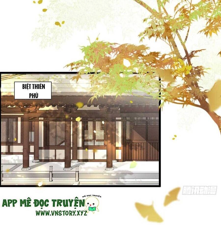 Phượng Hoàng Vu Phi Chapter 125 - 11