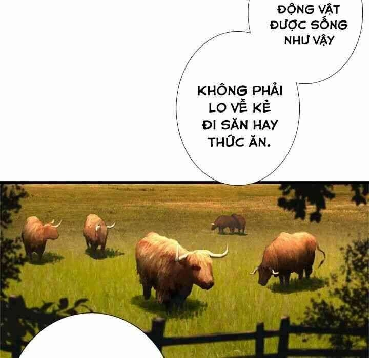 Triệu Hồi Đến Thế Giới Fantasy Chapter 13 - 43