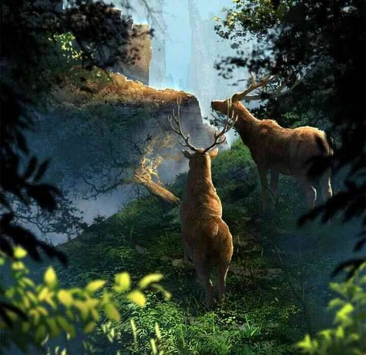 Triệu Hồi Đến Thế Giới Fantasy Chapter 20 - 42