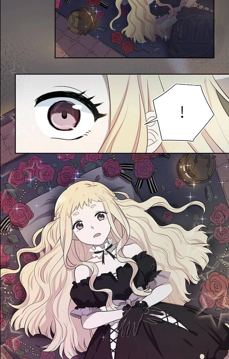 Tinh Lộ Phù Thủy Chapter 2 - 6