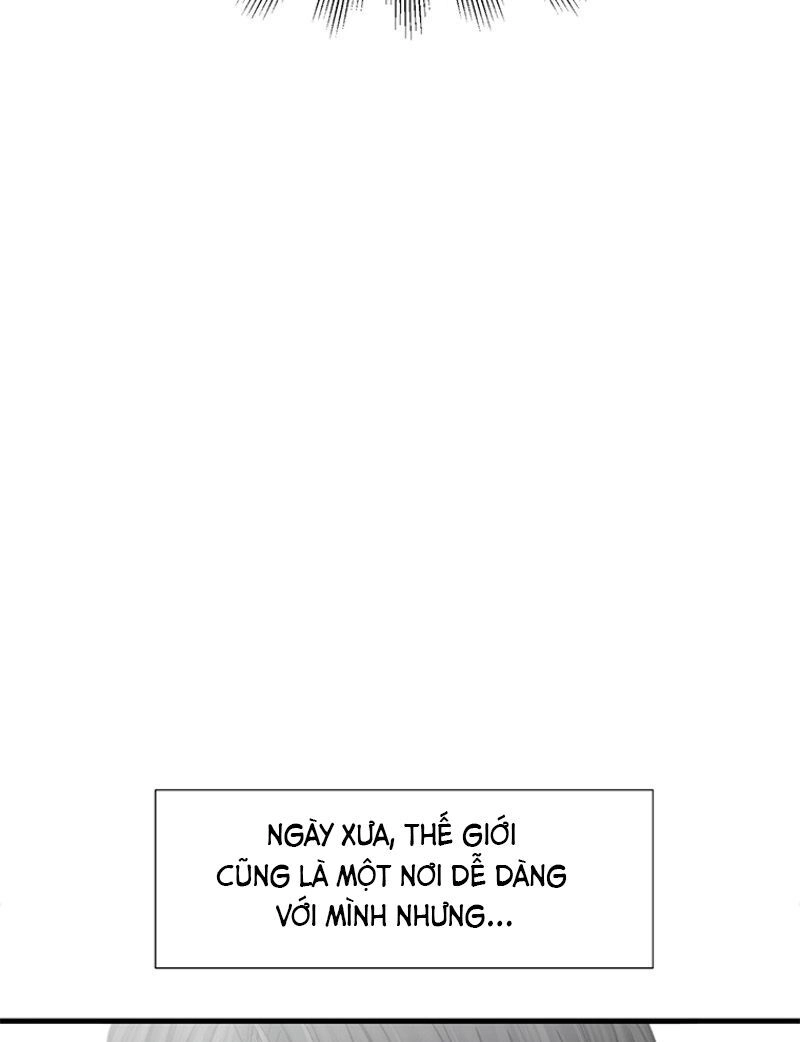 Cell Chapter 10 - 28