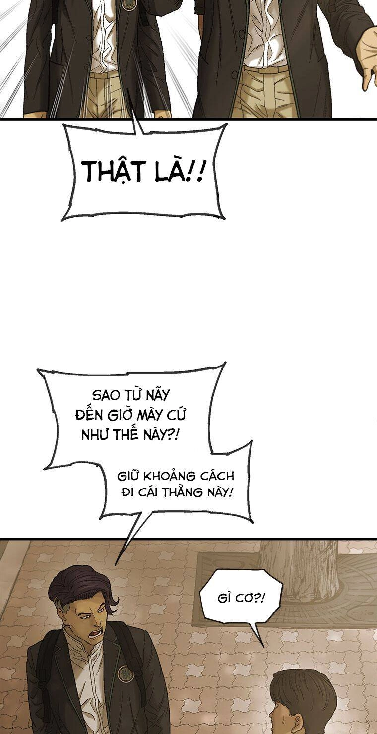 Cell Chapter 12 - 41