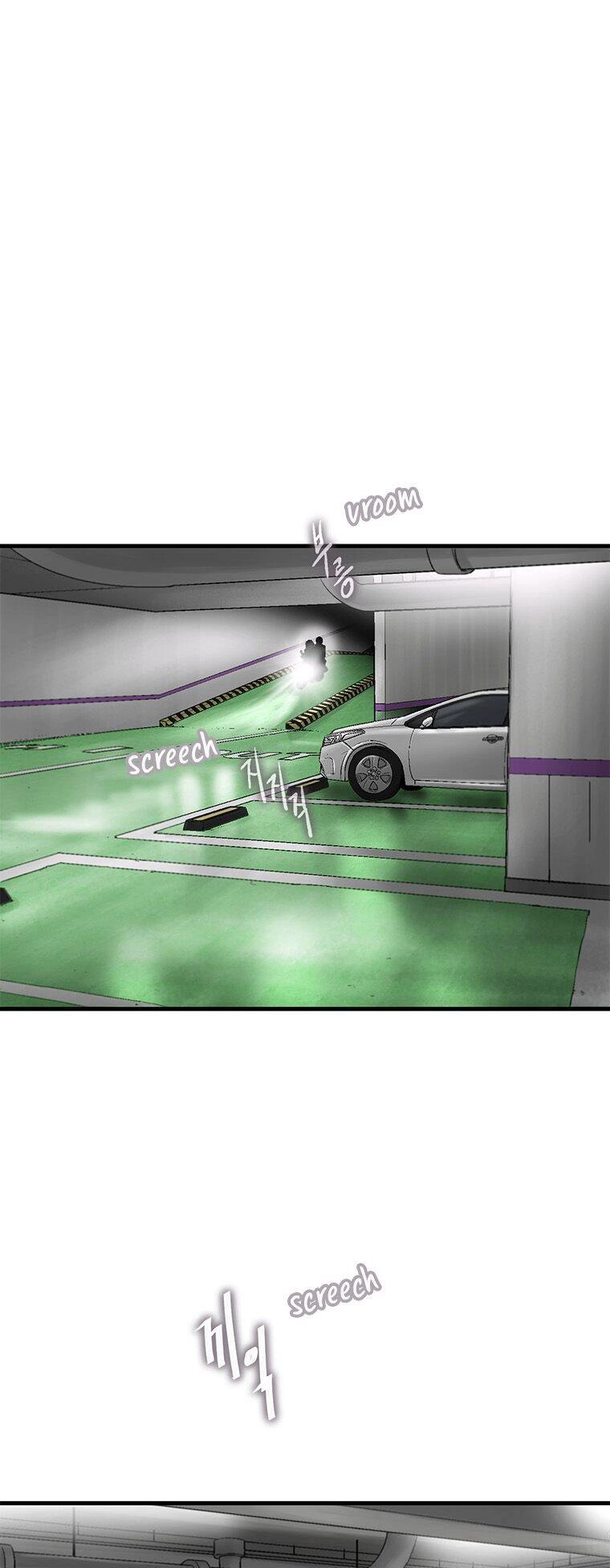 Cell Chapter 13 - 19