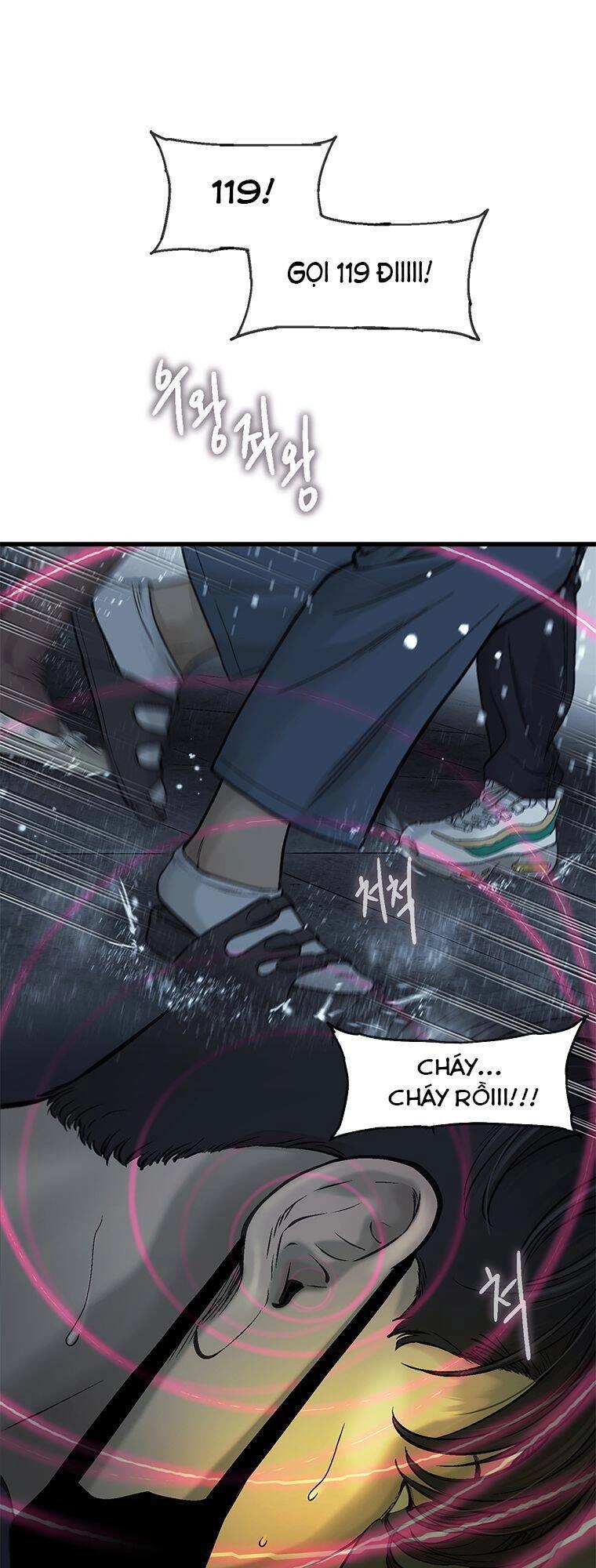 Cell Chapter 14 - 29