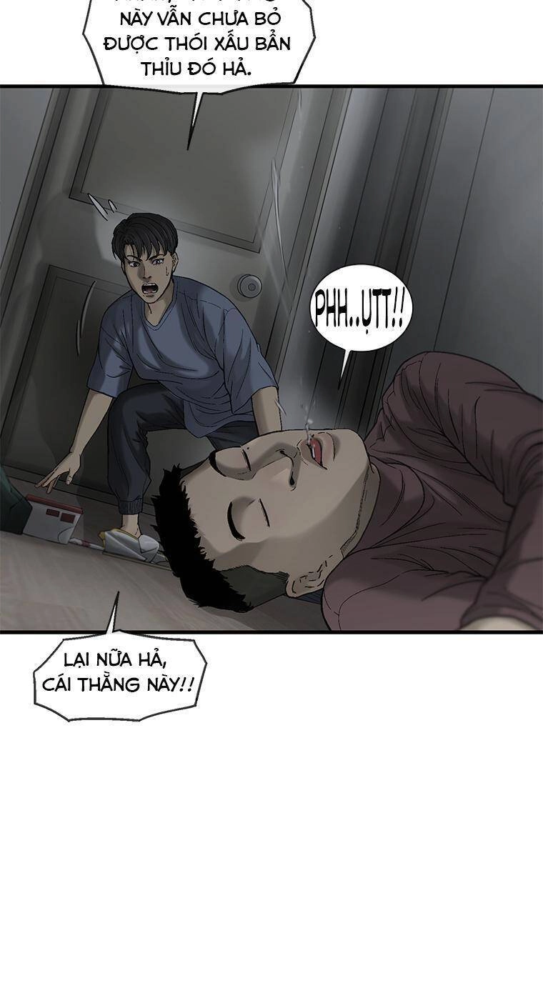 Cell Chapter 19 - 65