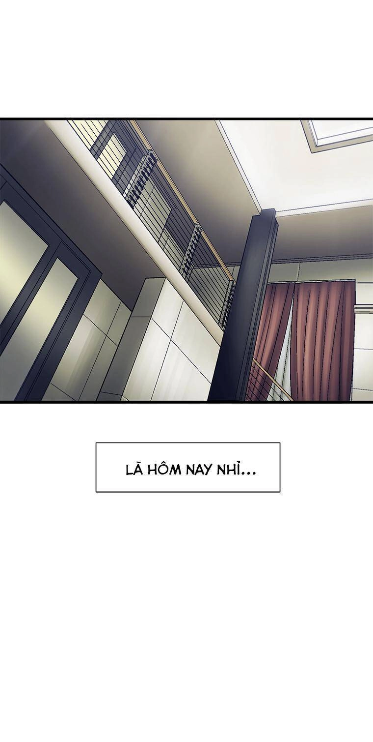 Cell Chapter 24 - 29