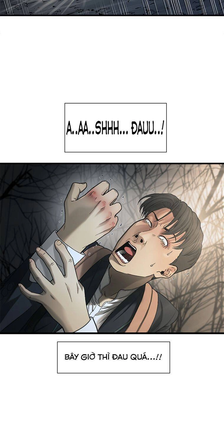 Cell Chapter 25 - 17