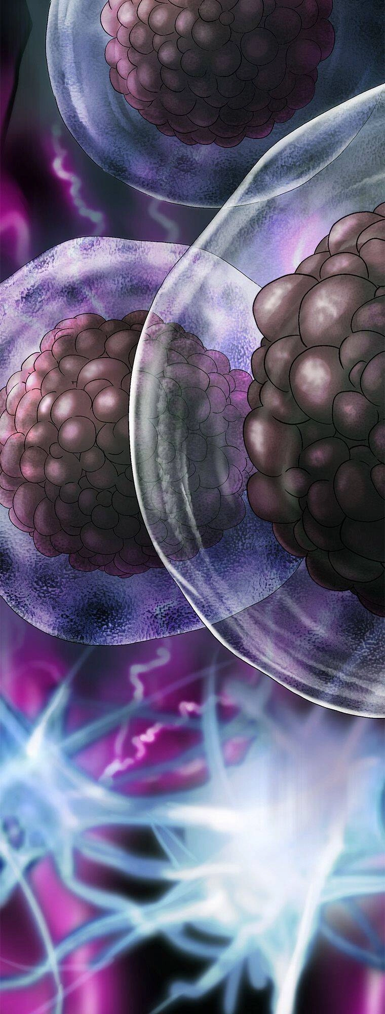 Cell Chapter 26 - 37