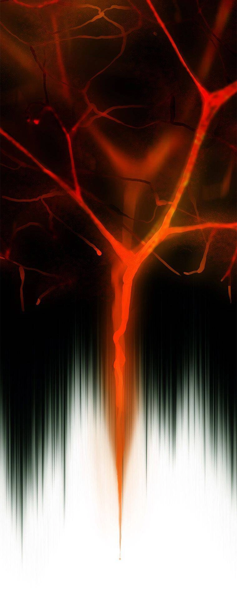 Cell Chapter 26 - 39