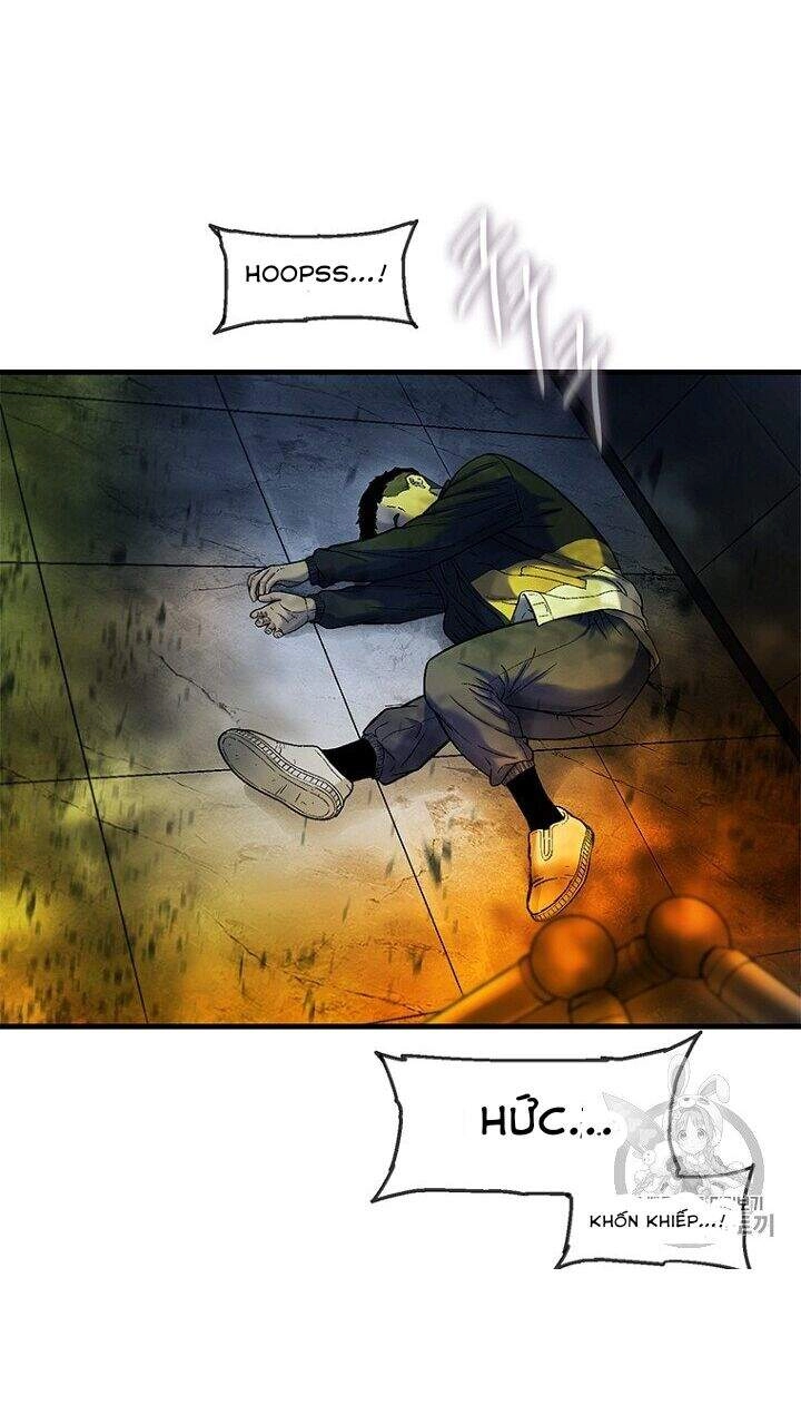 Cell Chapter 33 - 72