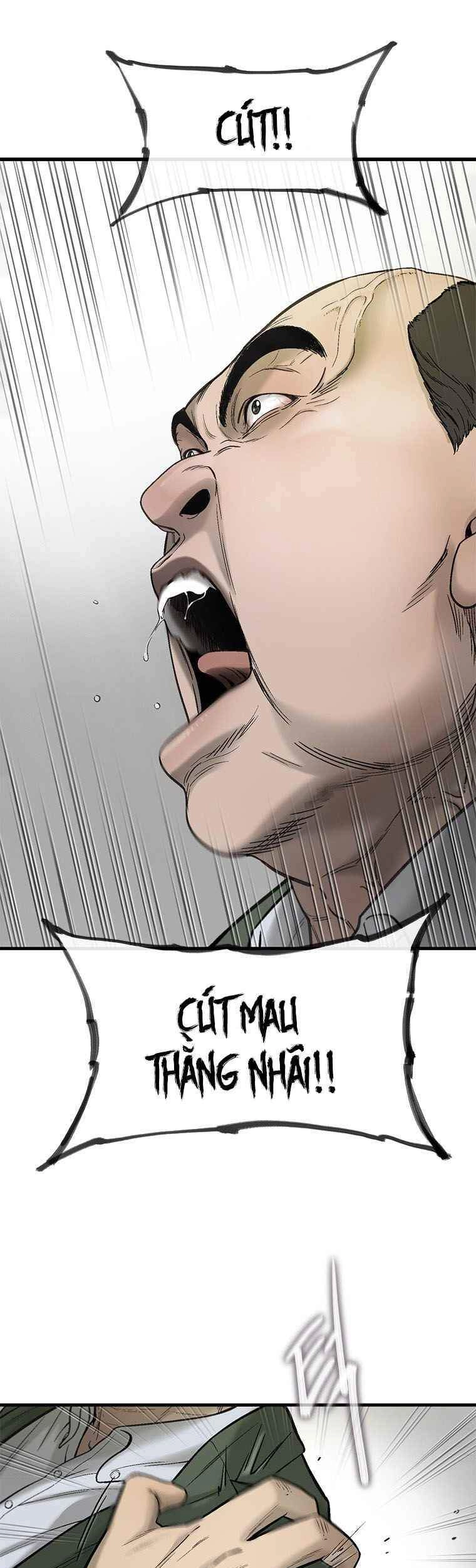 Cell Chapter 37 - 46