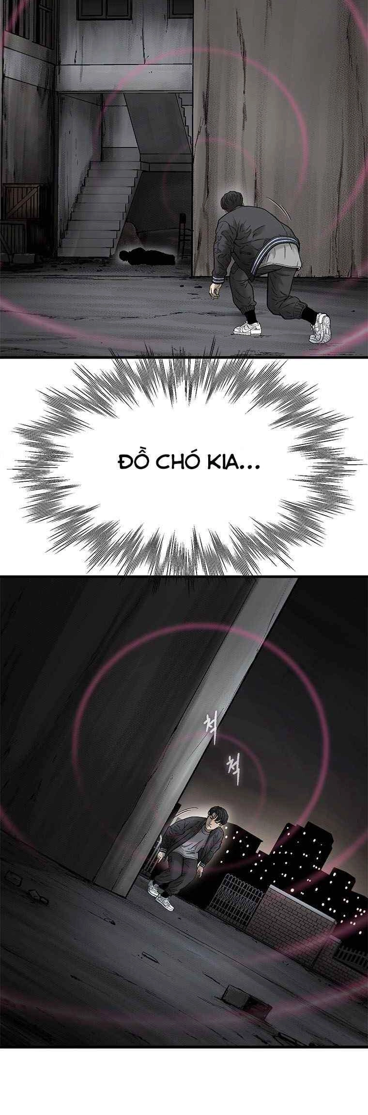 Cell Chapter 39 - 18