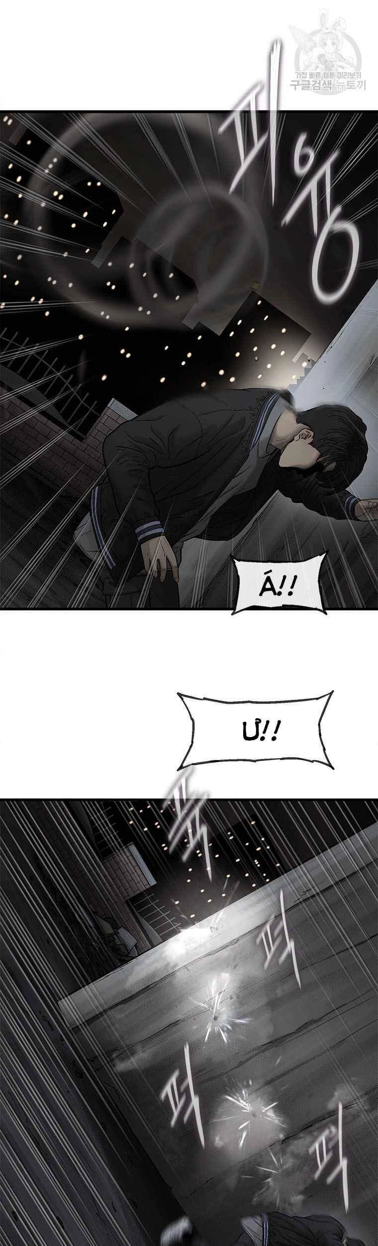 Cell Chapter 39 - 25