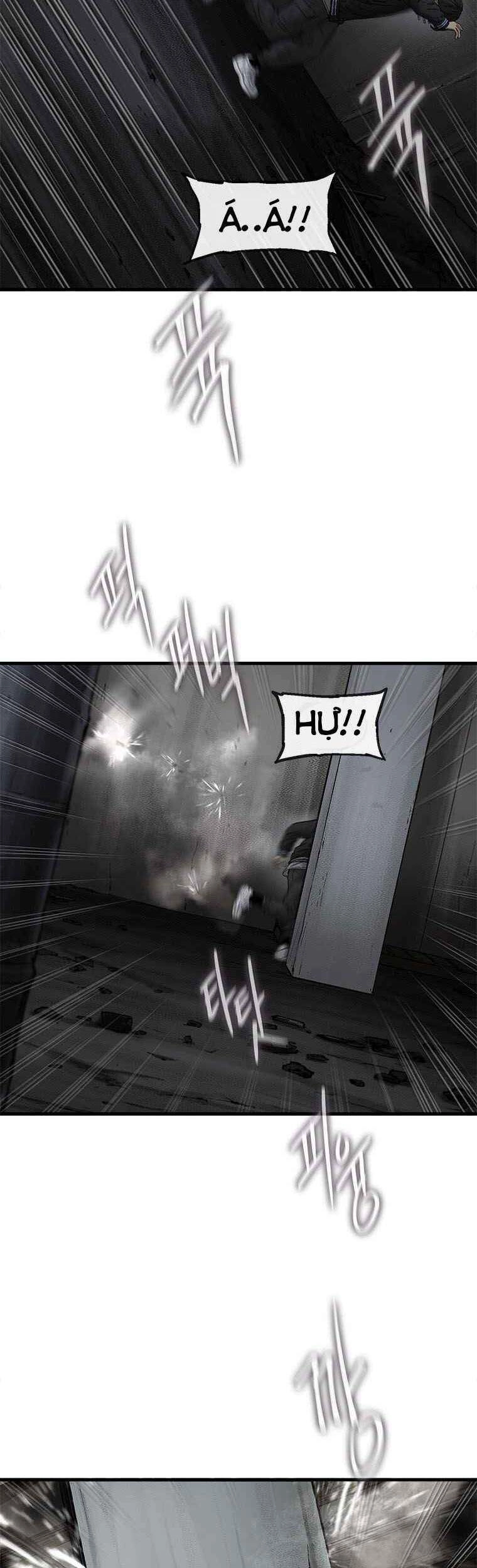 Cell Chapter 39 - 26