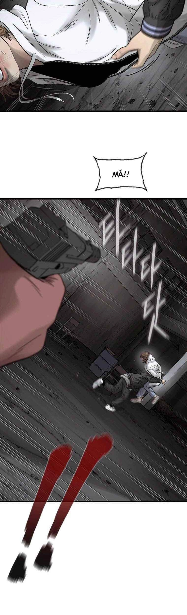 Cell Chapter 39 - 33