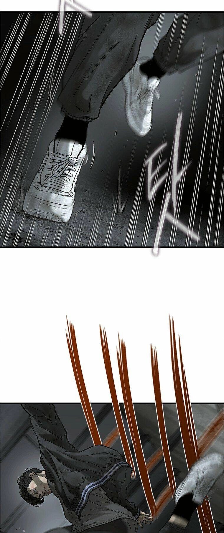 Cell Chapter 42 - 13