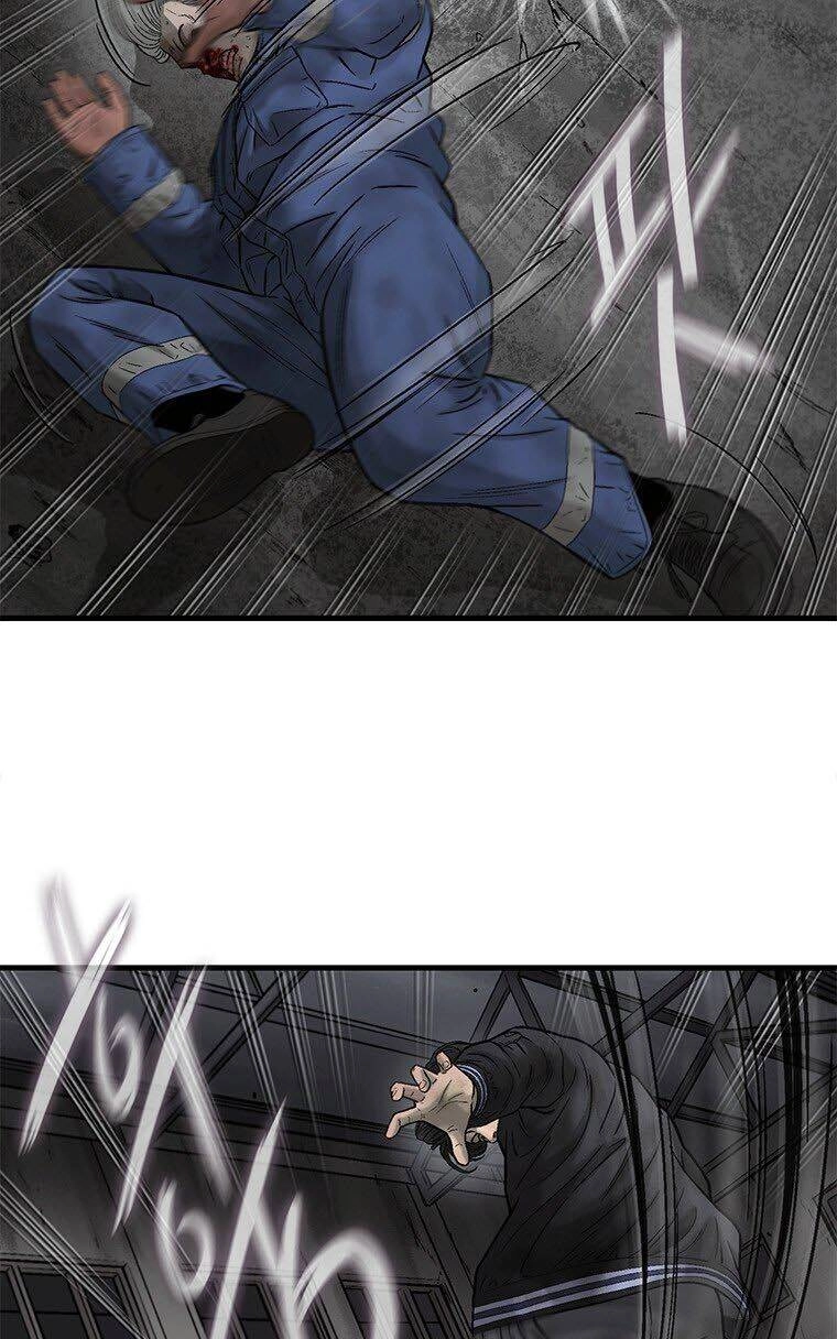 Cell Chapter 42 - 17