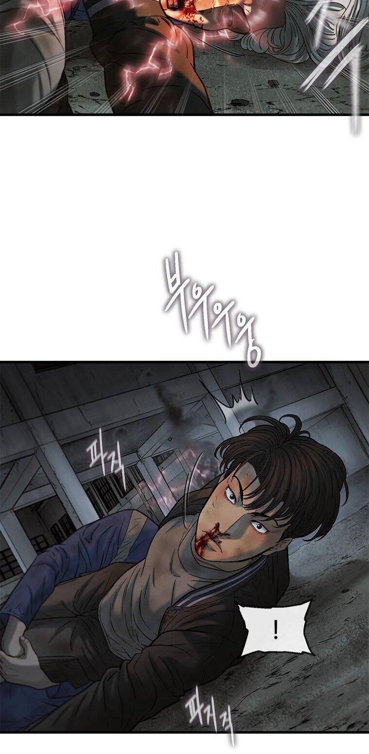 Cell Chapter 42 - 50