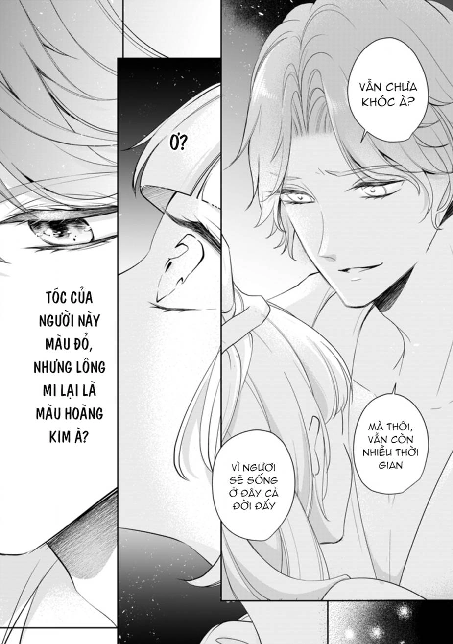 Tôi Sẽ Chết, Nếu Tôi Không Yêu Chapter 6 - 11