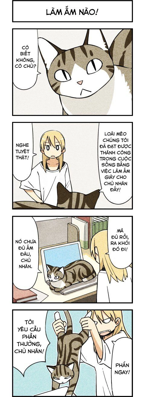 We Are Cat Chapter 2 - 2